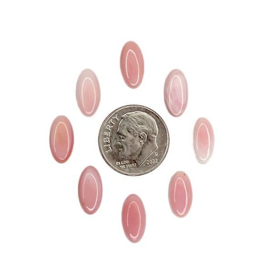 Picture of Long Oval Conch Shell Cabochon 6x12mm
