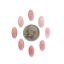 Picture of Long Oval Conch Shell Cabochon 6x12mm