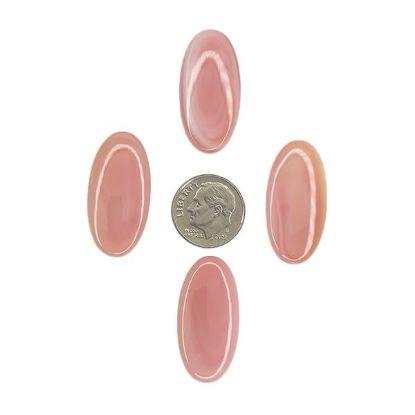 Picture of Long Oval Conch Shell Cabochon 15x30mm