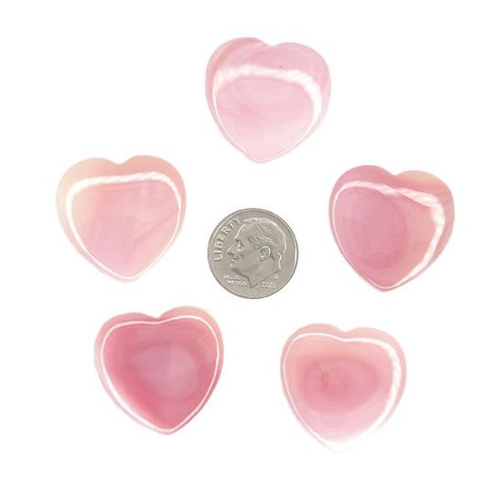 Picture of Heart Conch Shell Cabochon 25mm