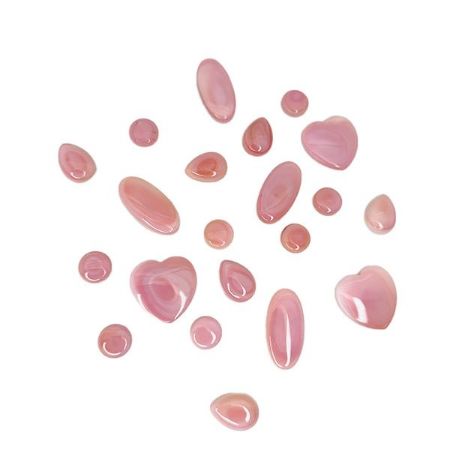 Picture for category Pink Conch